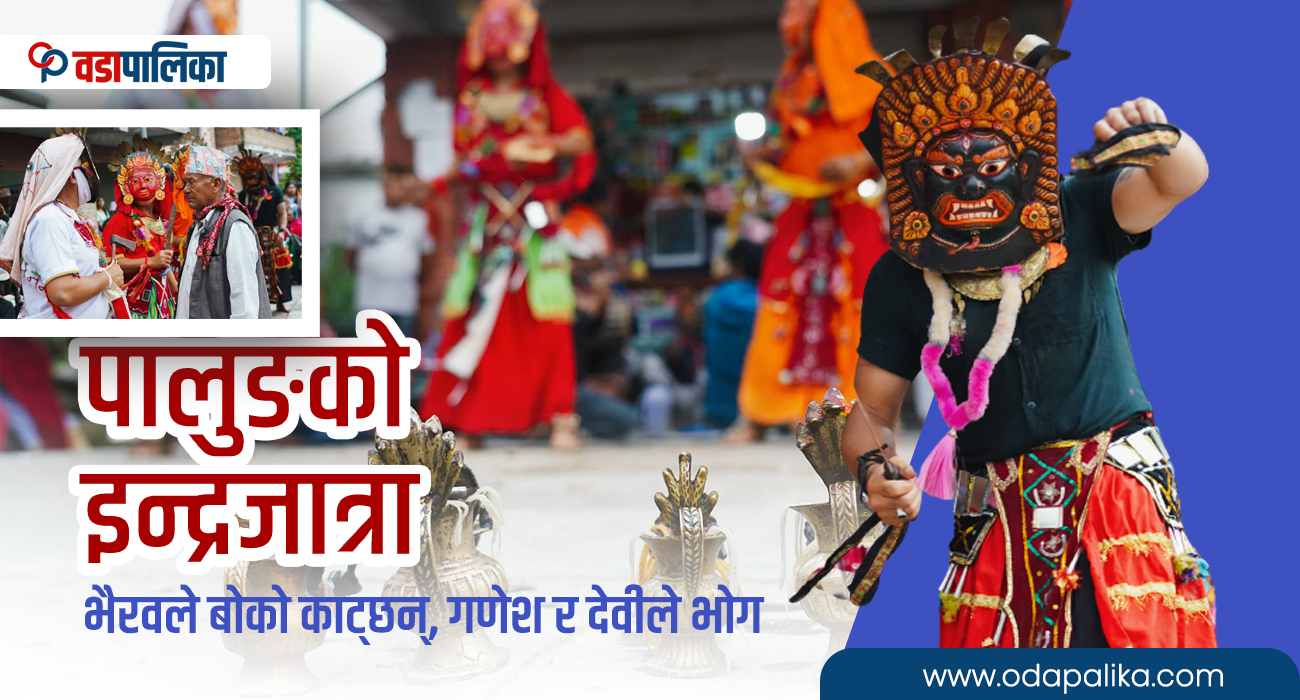 पालुङको अनौठो इन्द्रजात्रा, जो सधै काठमाडौँको छायामा पर्छ (भिडियाे)
